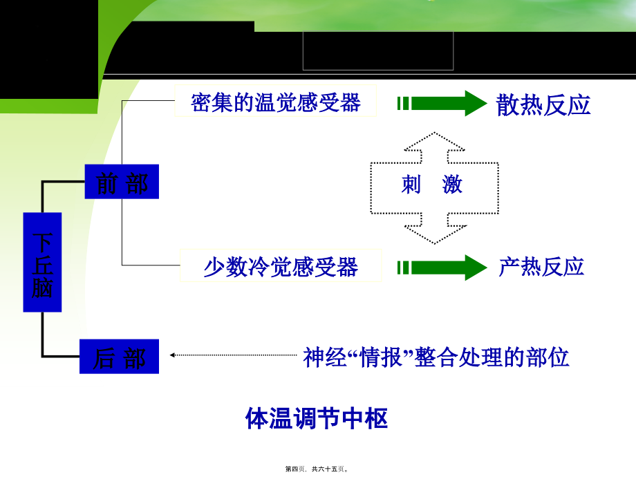 2022医学课件发热查因的诊疗思路cyl_第4页