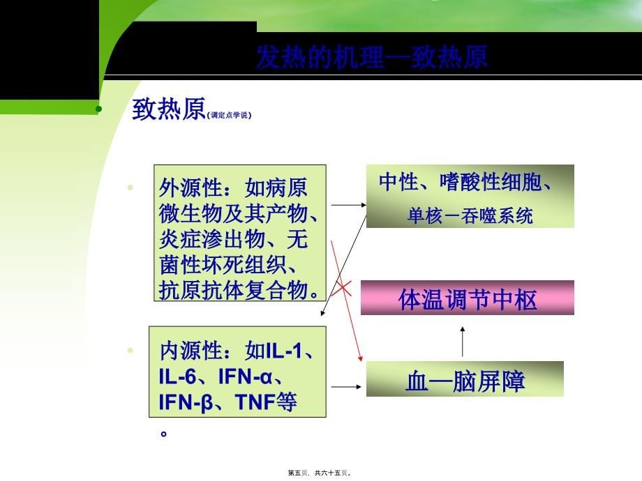 2022医学课件发热查因的诊疗思路cyl_第5页