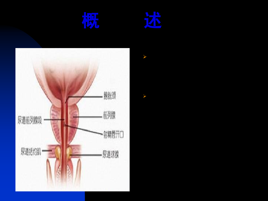 2022医学课件前列腺炎诊疗现状与进展_第3页