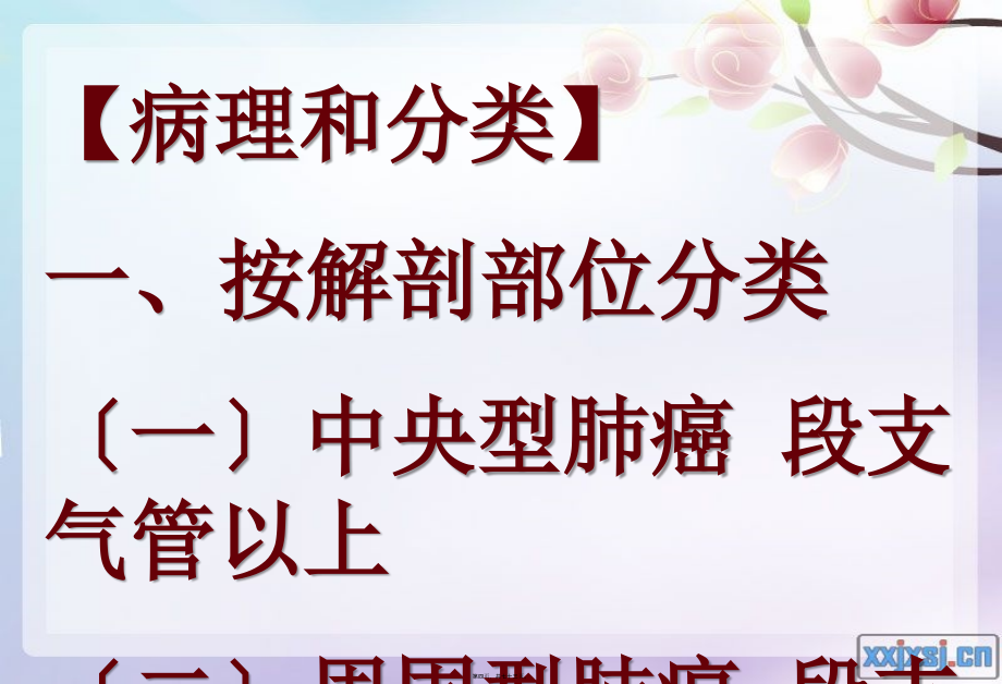 2022医学课件原发支气管肺癌1_第4页