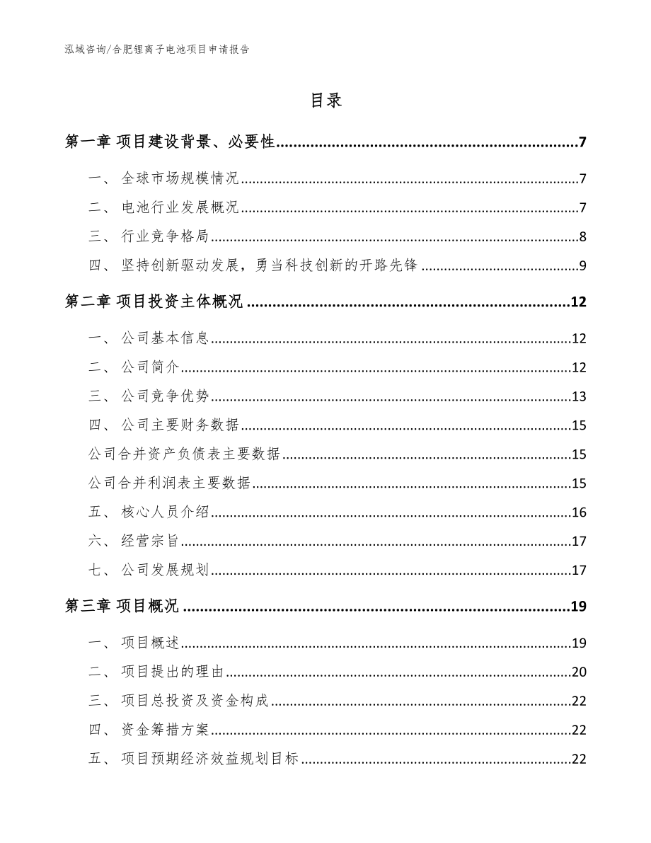 合肥锂离子电池项目申请报告_范文模板_第1页