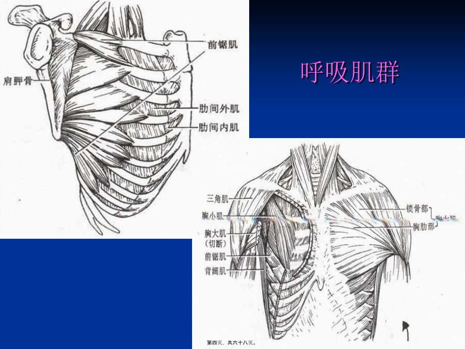 2022医学课件呼吸运动及排痰能力训练[1].ppt分解_第4页