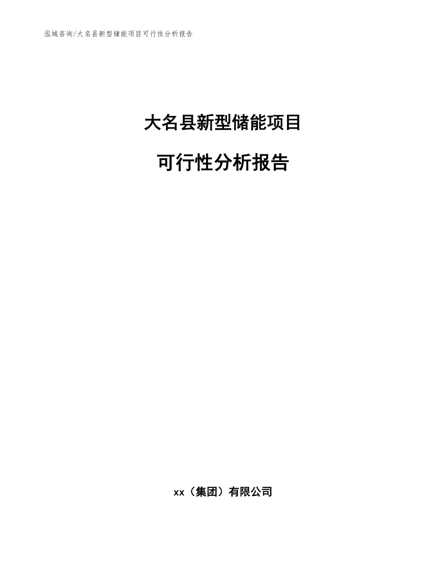 大名县新型储能项目可行性分析报告_第1页