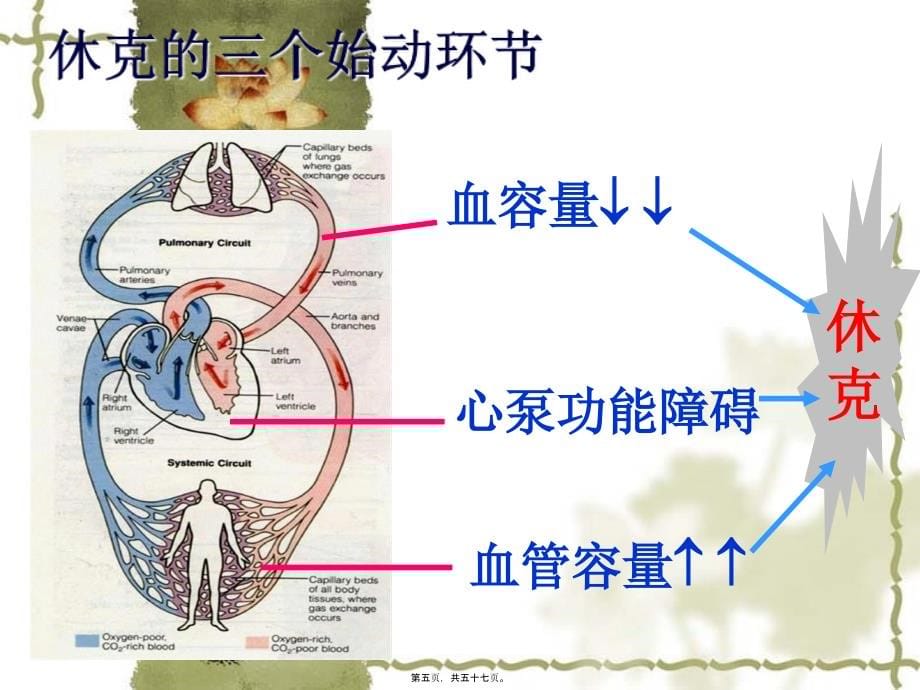 2022医学课件休克的救护与液体复苏_第5页