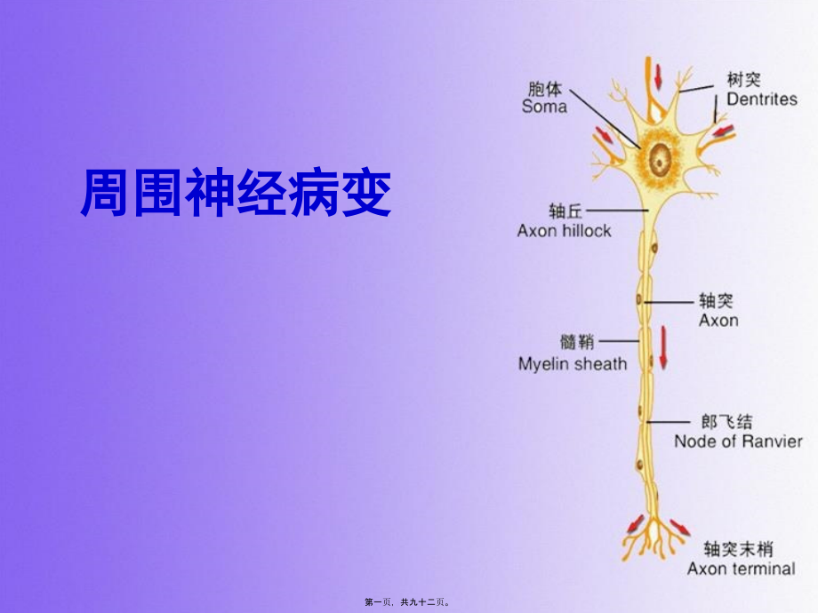 2022医学课件周围神经病_第1页