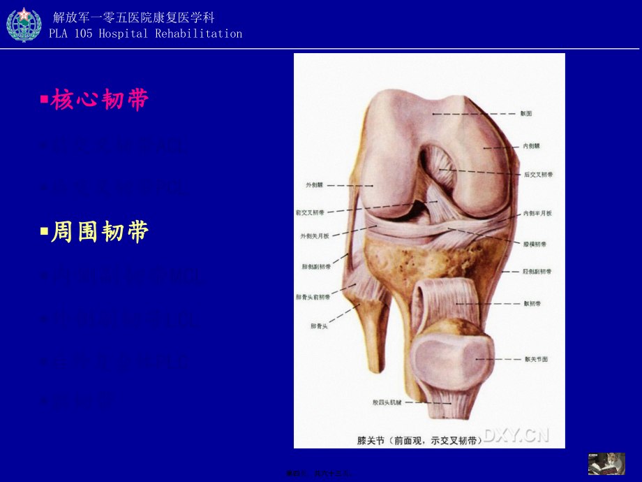 2022医学课件创伤性膝关节功能障碍的康复_第4页