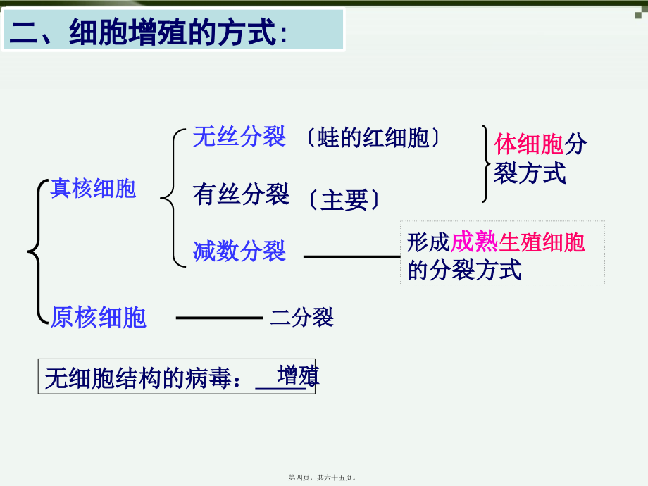 2022医学课件原创3：细胞的增殖_第4页