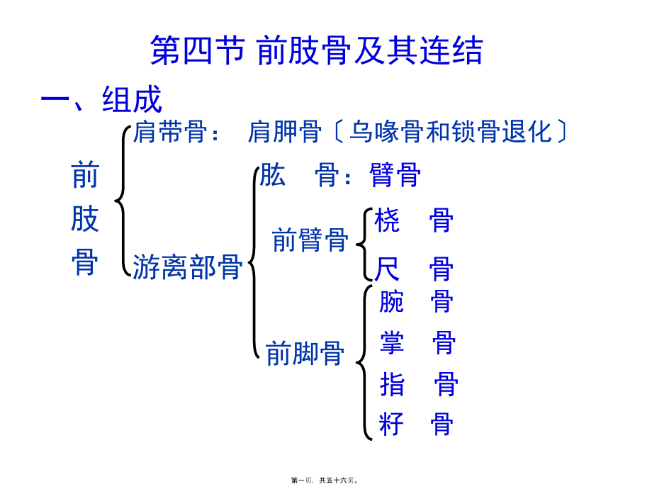 2022医学课件前肢骨及其连结_第1页