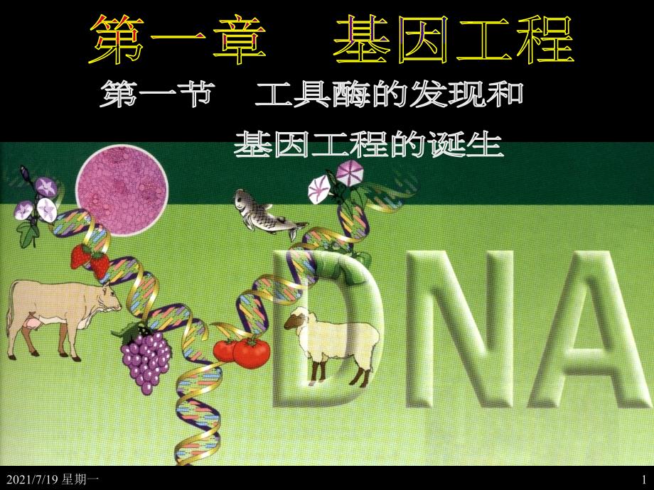 医学专题人和动物体内三大营养物质的代谢_第1页