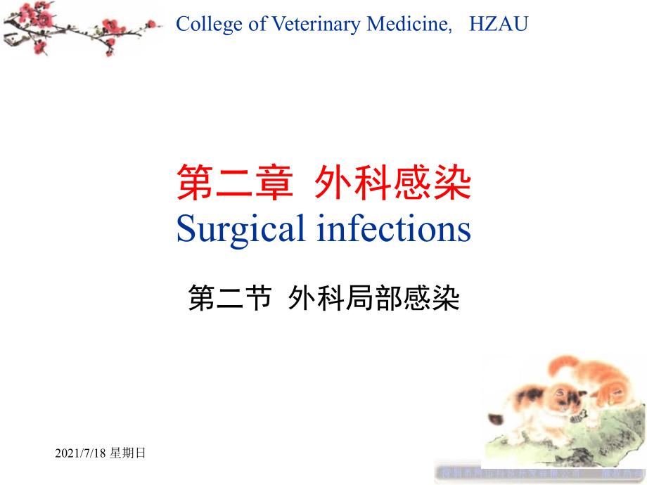 医学资料4第二章外科局部感染_第1页