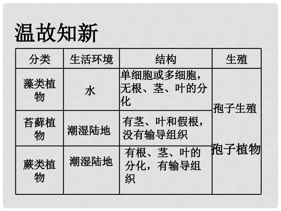 七年级生物上册 第三单元 第一章 第二节 种子植物教学课件 （新版）新人教版_第2页