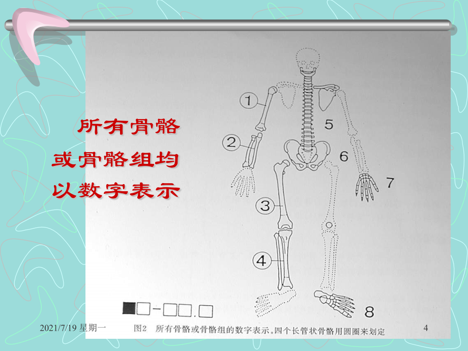 医学专题四肢长管状骨的-AO-综合分类_第4页