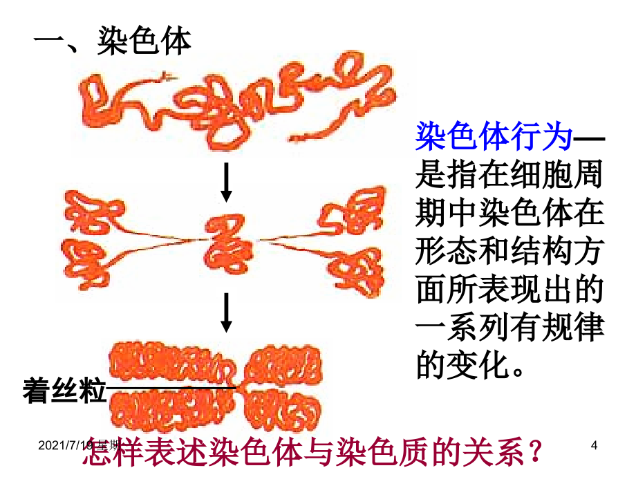 医学专题唐氏综合症是人类最常见的一种染色体病_第4页