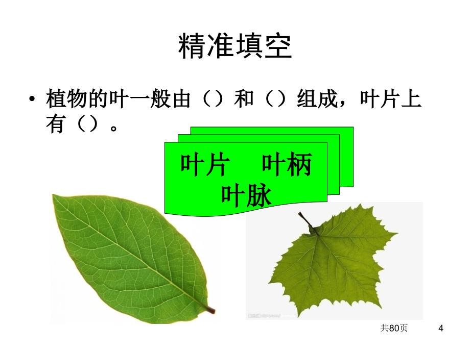 《科学大全一本通》PPT课件.ppt_第4页