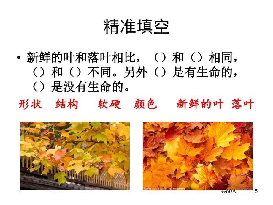 《科学大全一本通》PPT课件.ppt_第5页