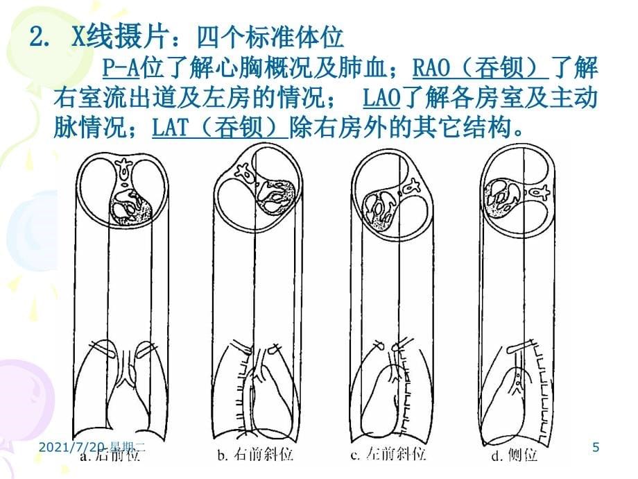 医学专题循环系统正常及基本病变_第5页