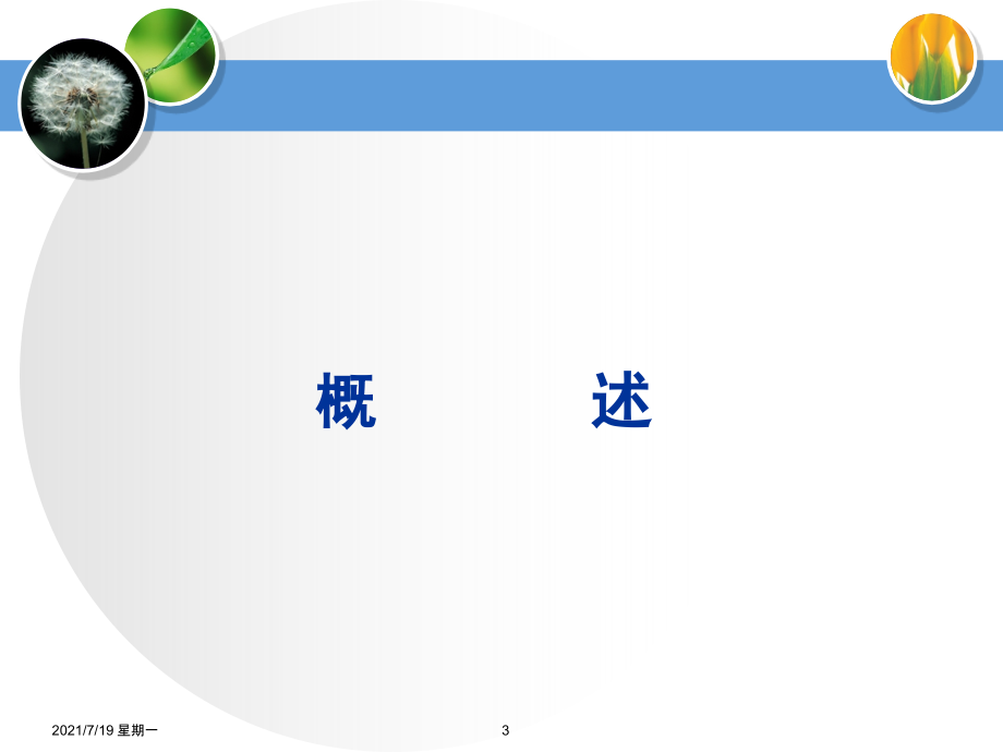 医学专题糖尿病流程医院讲解稿_第3页