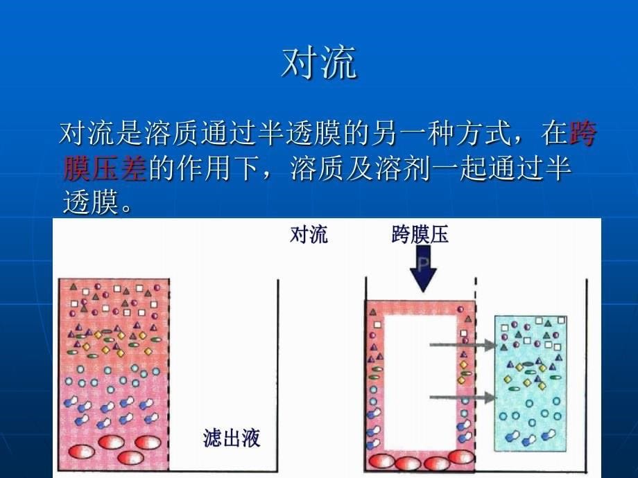 血液透析常见类型及选择_第5页