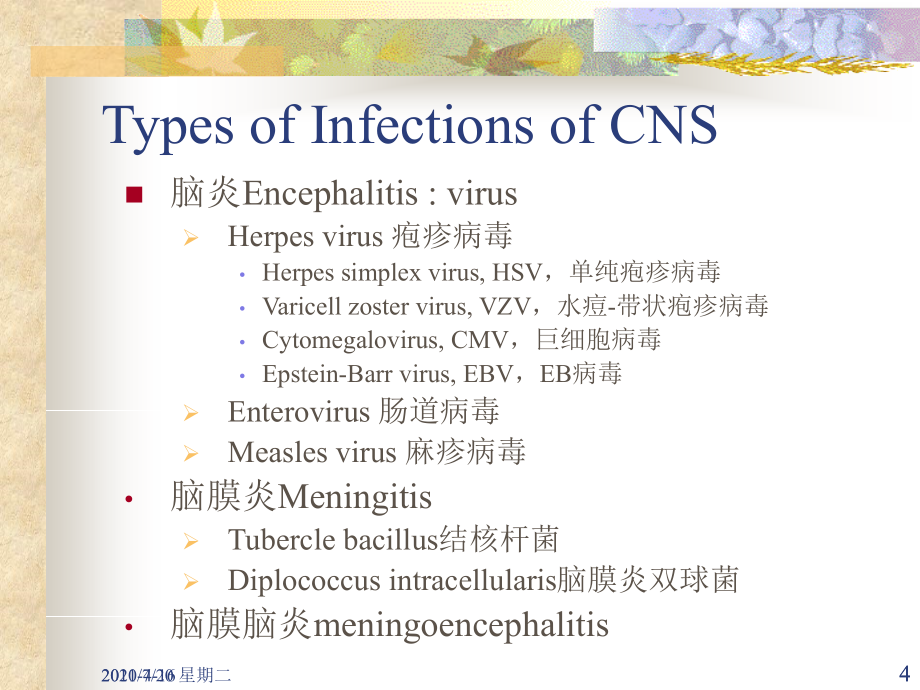 医学专题中枢神经系统感染进修医生2010-PPT文档_第4页