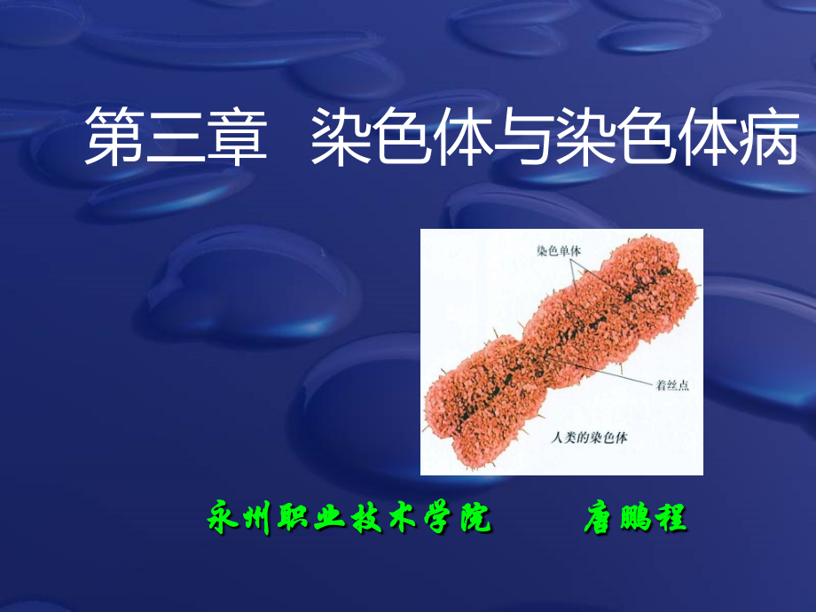 医学专题人类染色体与染色体病解读_第1页