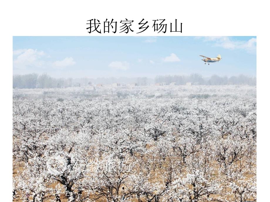 我的家乡砀山课件_第1页
