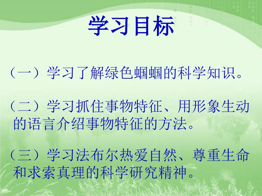 《绿色蝈蝈》教学课件_第3页