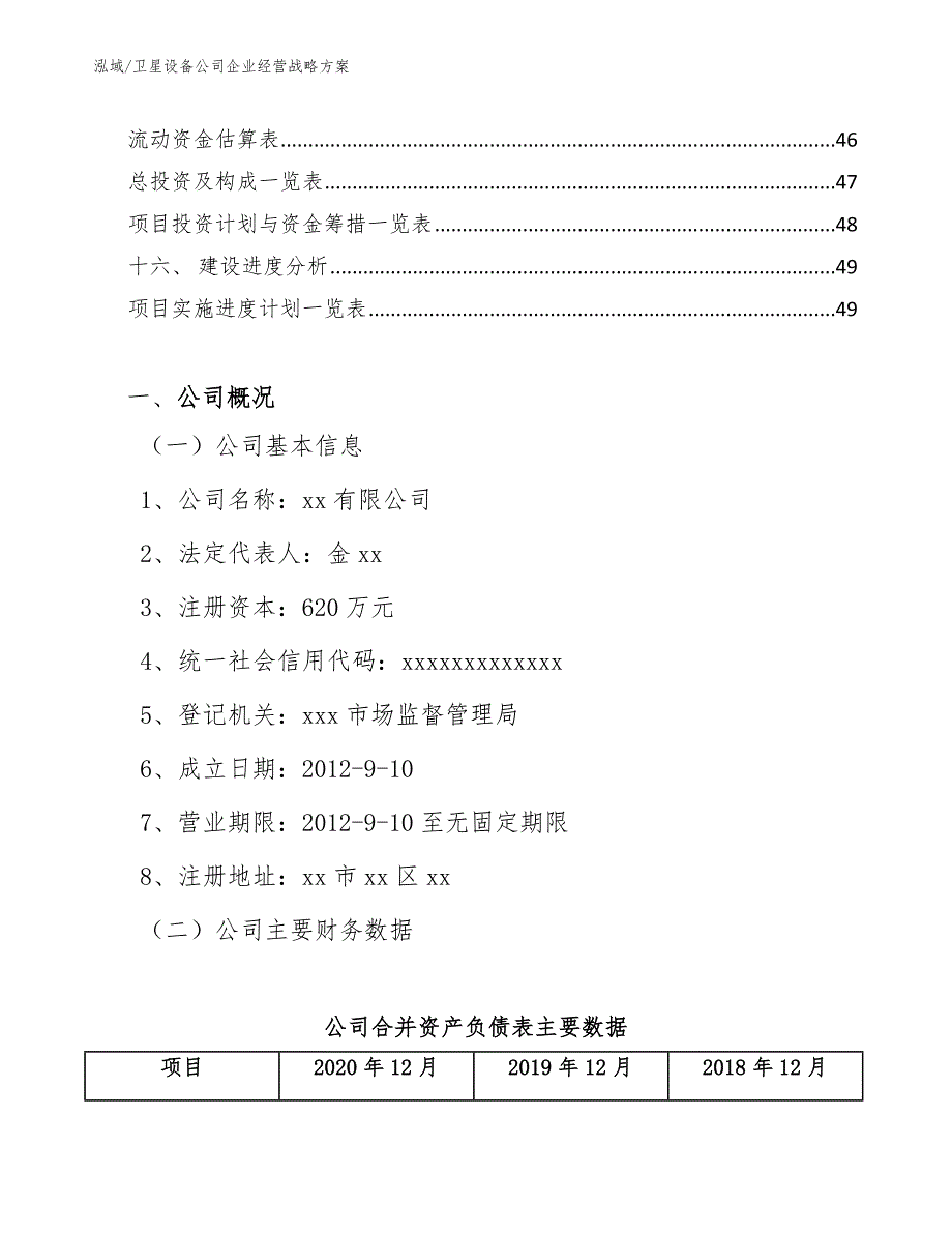 卫星设备公司企业经营战略方案（范文）_第2页