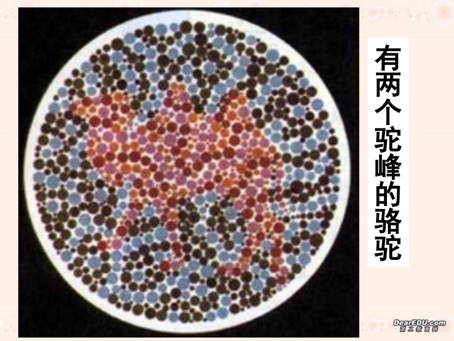 高一生物伴性遗传_第2页