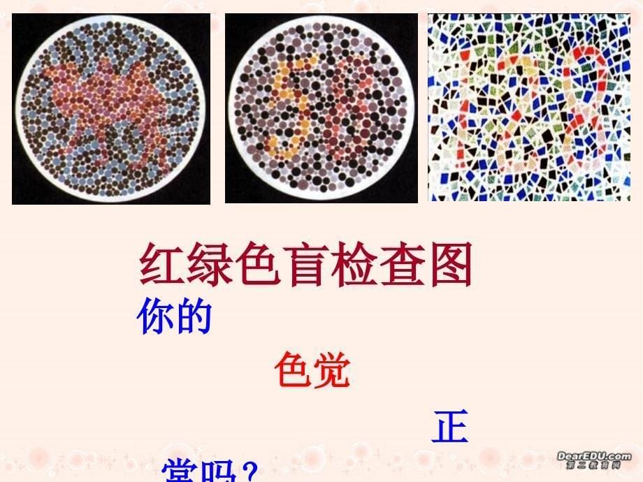 高一生物伴性遗传_第5页