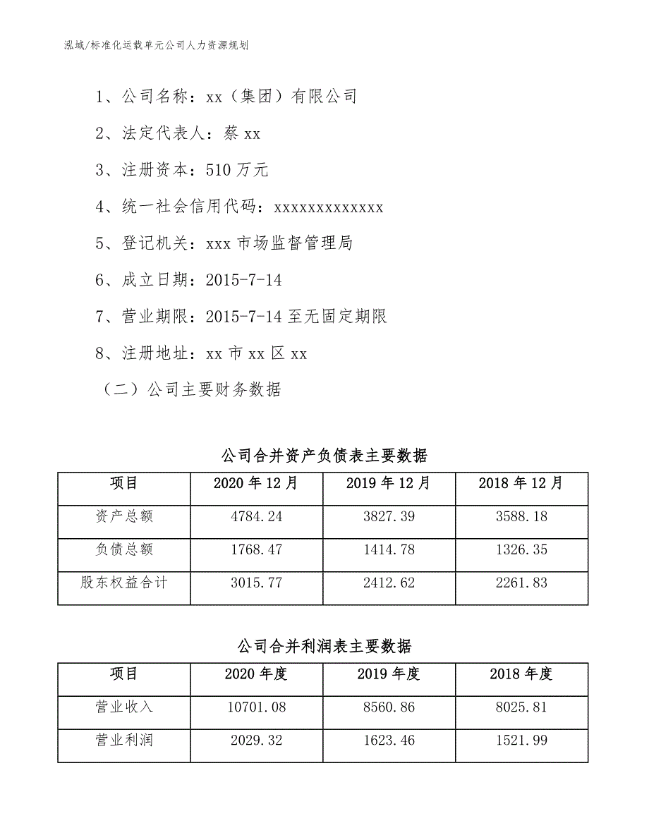 标准化运载单元公司人力资源规划（参考）_第2页