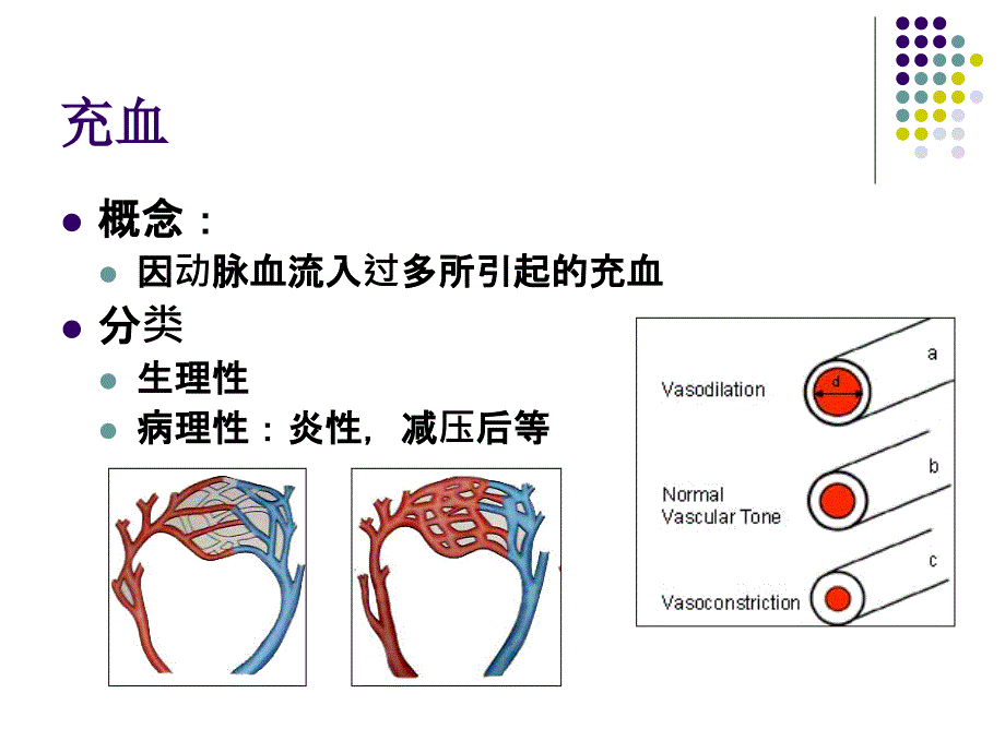 病理学：第四章 血液及体液循环障碍_第3页