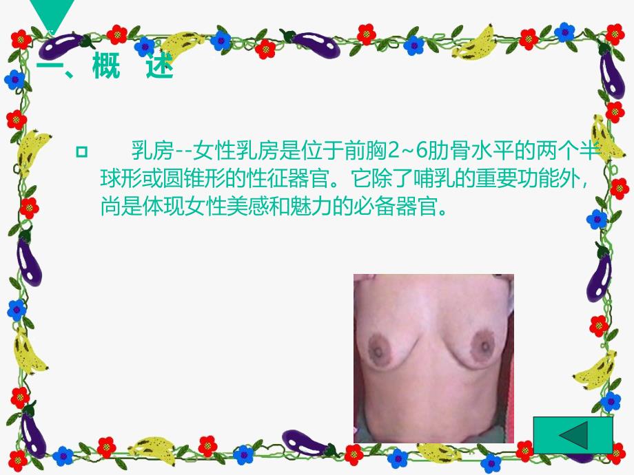 乳房的正确检查法_第3页