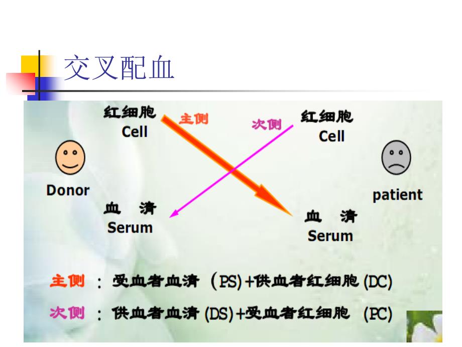 交叉配血聚凝胺法微柱凝胶法_第2页