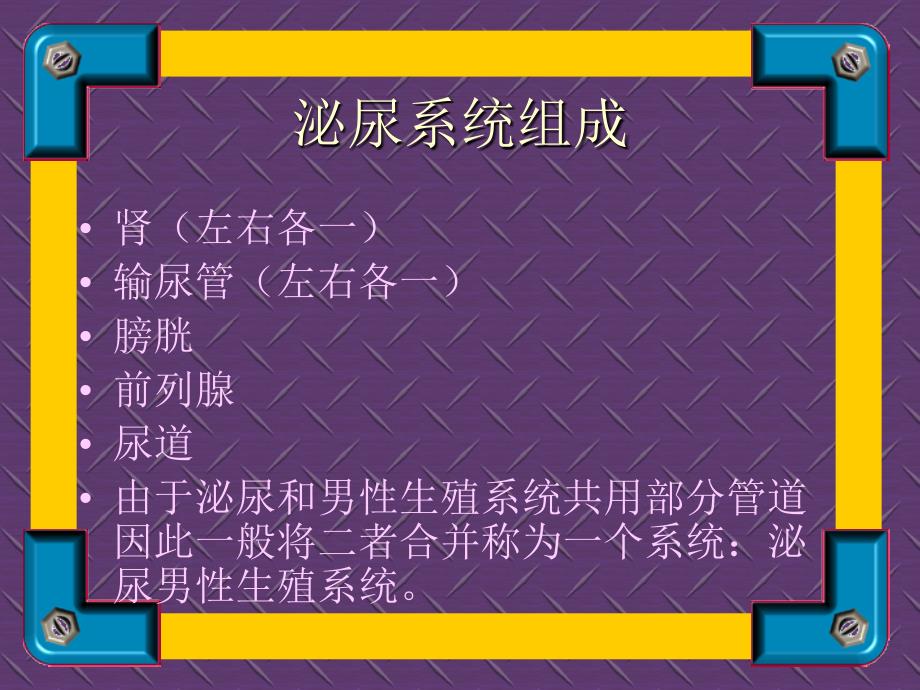 泌尿系统疾病诊治讲课讲稿_第3页