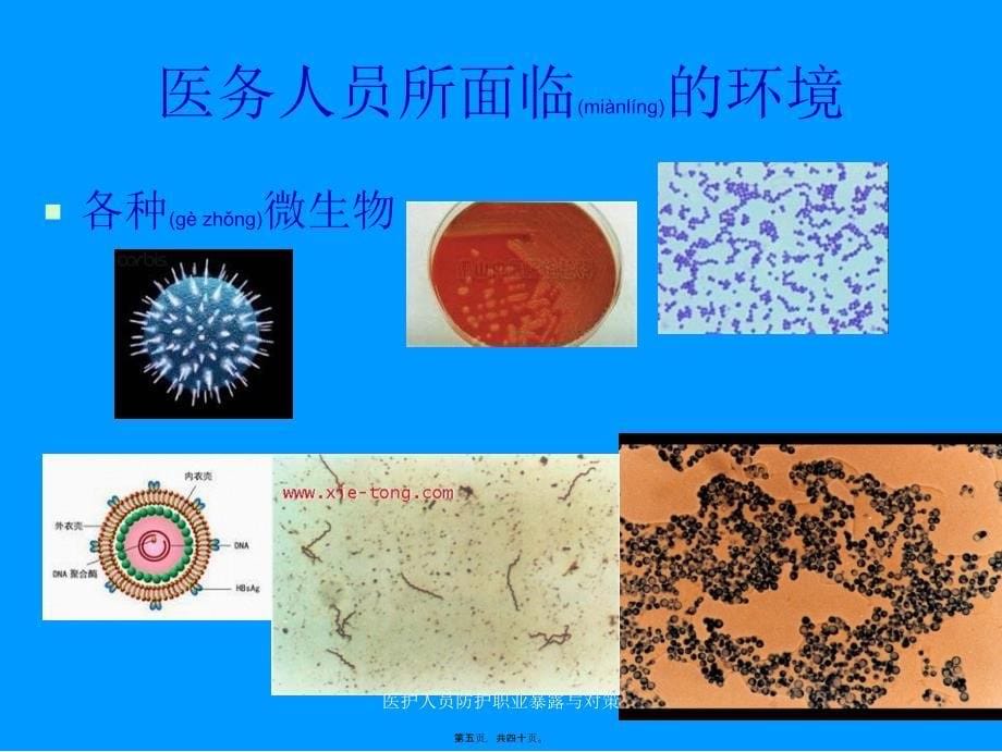 医护人员防护职业暴露与对策课件_第5页