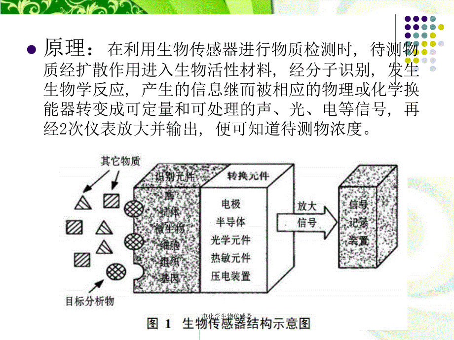 电化学生物传感器课件_第4页