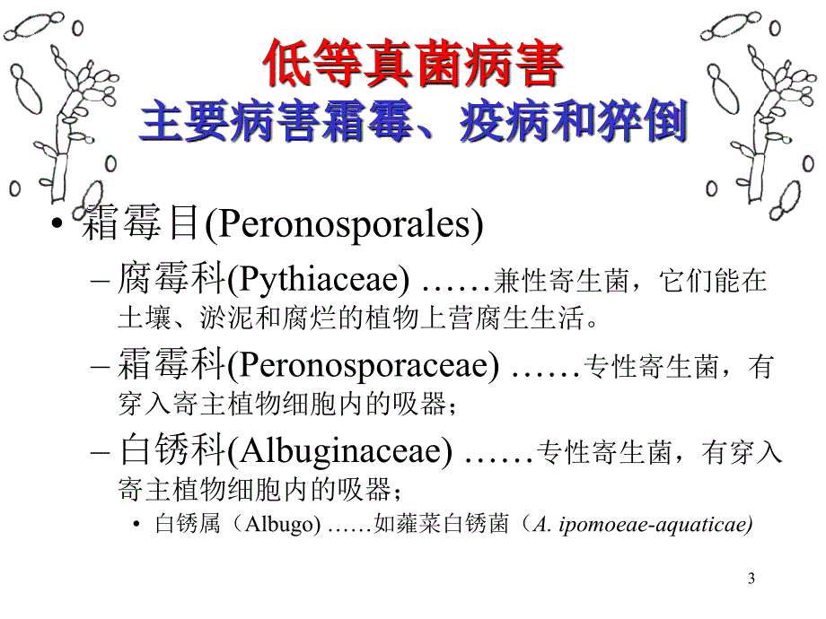 植物低等真菌病害防治技术参考PPT_第3页