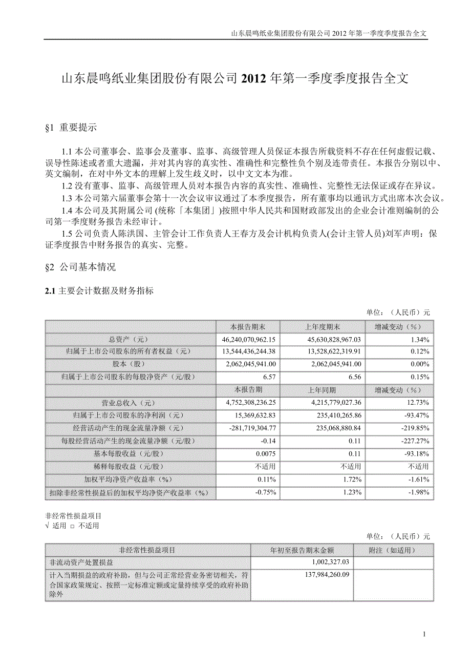 晨鸣纸业第一季度报告全文_第1页