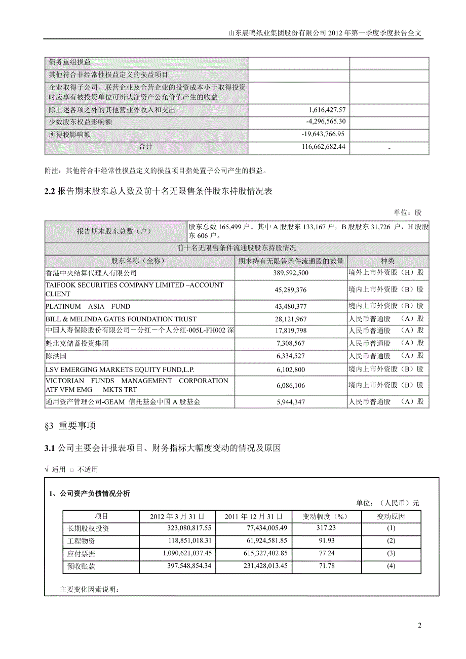 晨鸣纸业第一季度报告全文_第2页