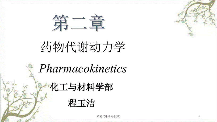 药物代谢动力学(12)_第4页