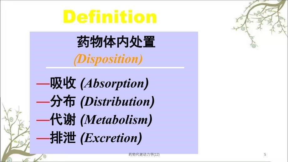 药物代谢动力学(12)_第5页