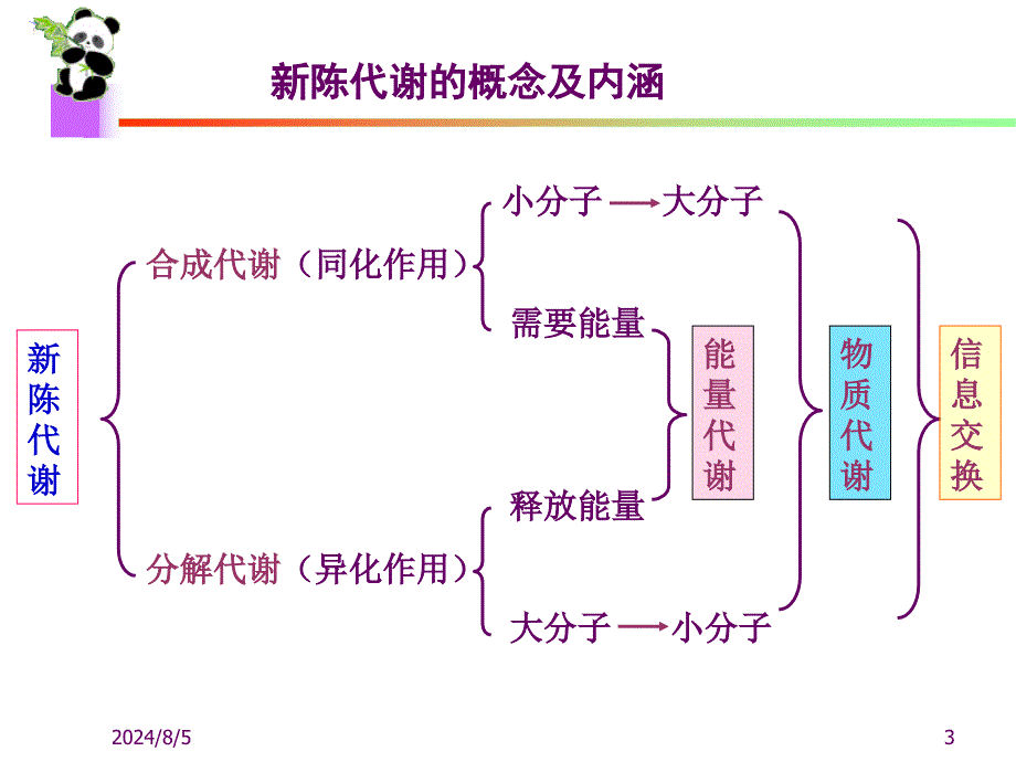 生物化学课件生物氧化_第3页