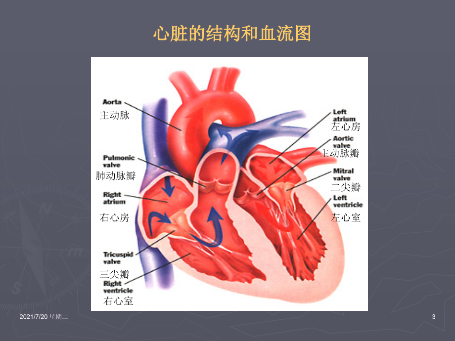 医学专题心-脏-疾-病a_第3页