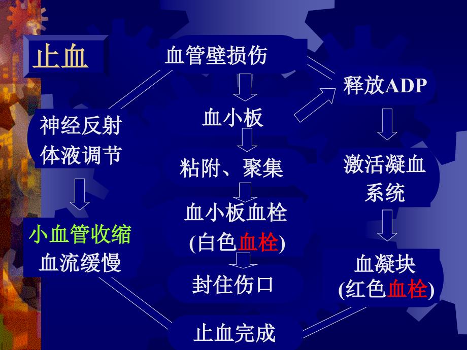 止血与凝血障碍的检查课件_第4页