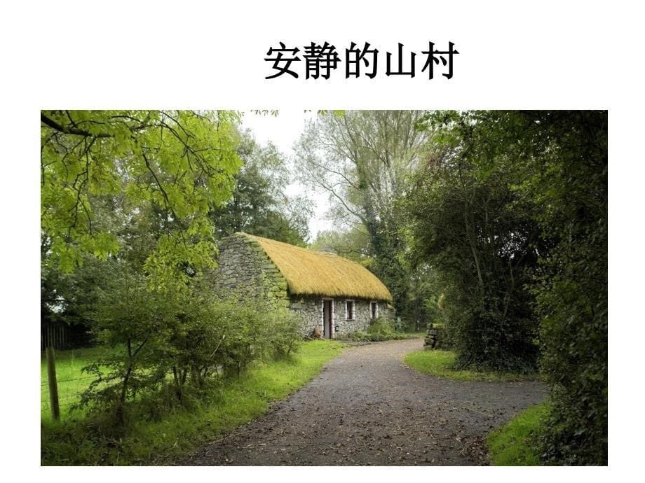 三年级语文上册古诗两首所见.ppt_第5页