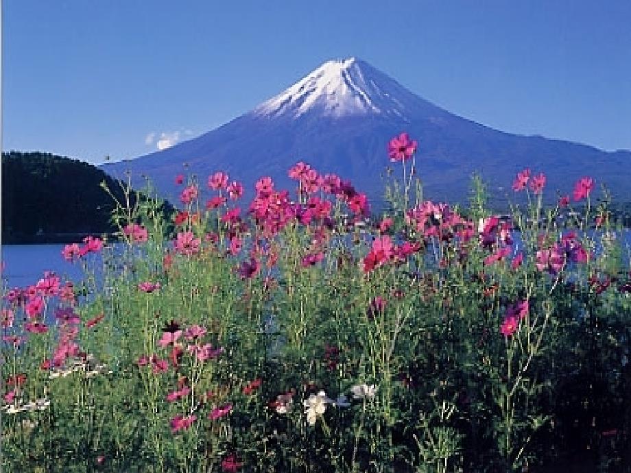 最新七年级地理下册第三章走进国家第一节日本第二课时课件湘教版课件_第4页