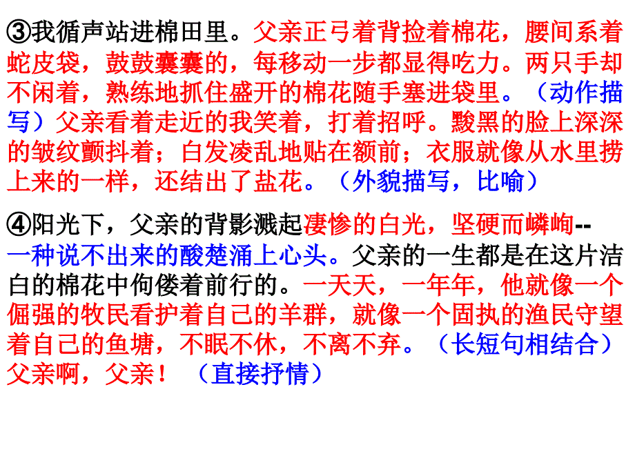 散文阅读理解《棉花里的父亲》_第2页