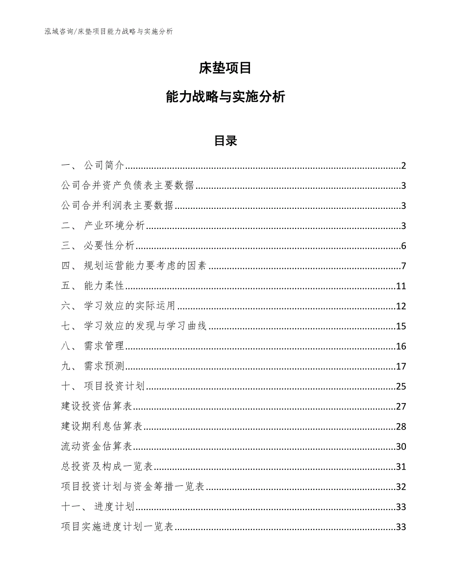 床垫项目能力战略与实施分析（参考）_第1页