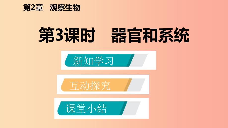 2019年秋七年级科学上册 第2章 观察生物 第3节 生物体的结构层次 2.3.3 器官和系统课件（新版）浙教版.ppt_第2页