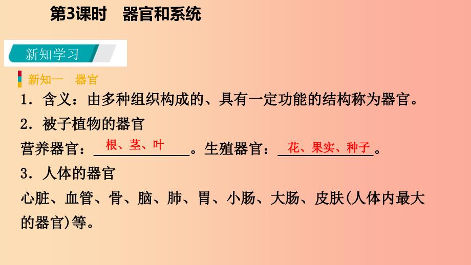 2019年秋七年级科学上册 第2章 观察生物 第3节 生物体的结构层次 2.3.3 器官和系统课件（新版）浙教版.ppt_第4页